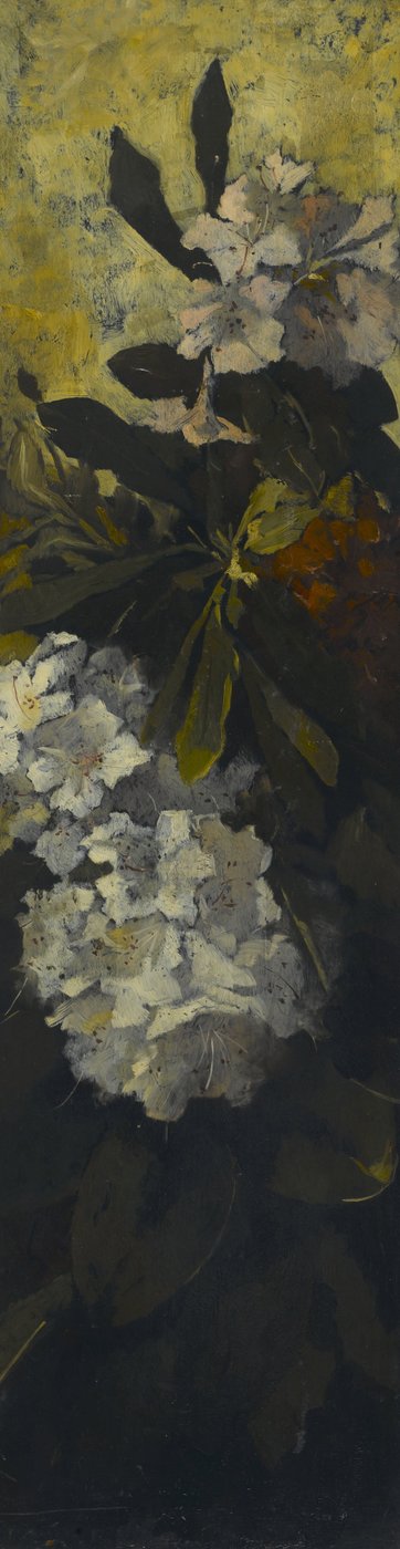Rhododendros de Elizabeth Boott Duveneck